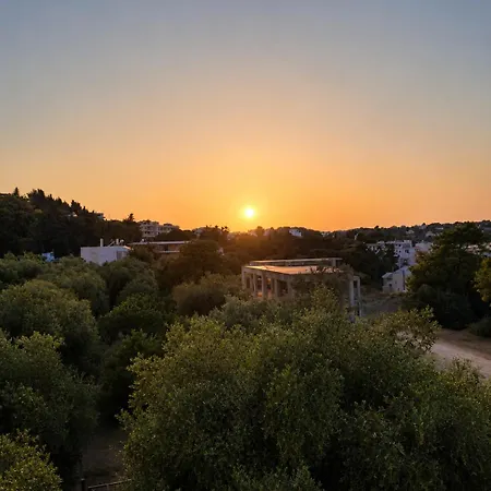 Olea * Koskinou (Rhodes)